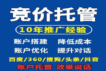 SEM竞价广告优化全攻略：经典案例解析